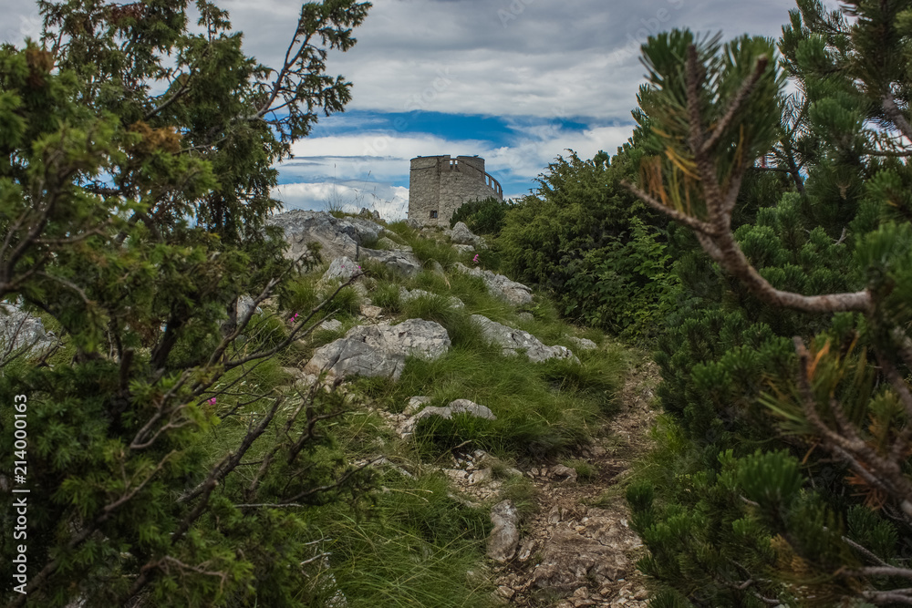 medieval old lonely tower on top of mountain ridge in view between green trees branches and alone trail to building