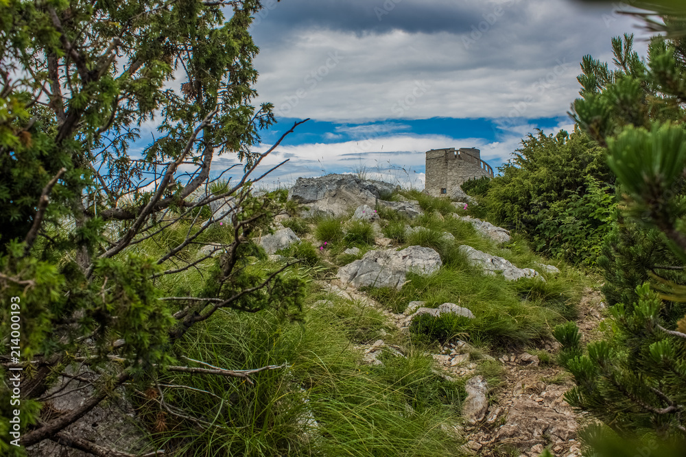 medieval old lonely tower on top of mountain ridge in view between green trees branches and alone trail to building