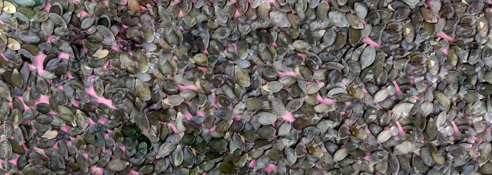 Raw pumpkin seeds on the pink background.Trendy Bright Colors. Concept. Minimalism. Healthy Food. Diet Nutrition.Top View. Flat Lay. Copy space for Text.Banner Raw pumpkin seeds on the pink background.Trendy Bright Colors. Concept. Minimalism. Healthy Food. Diet Nutrition.Top View. Flat Lay. Copy space for Text.Banner