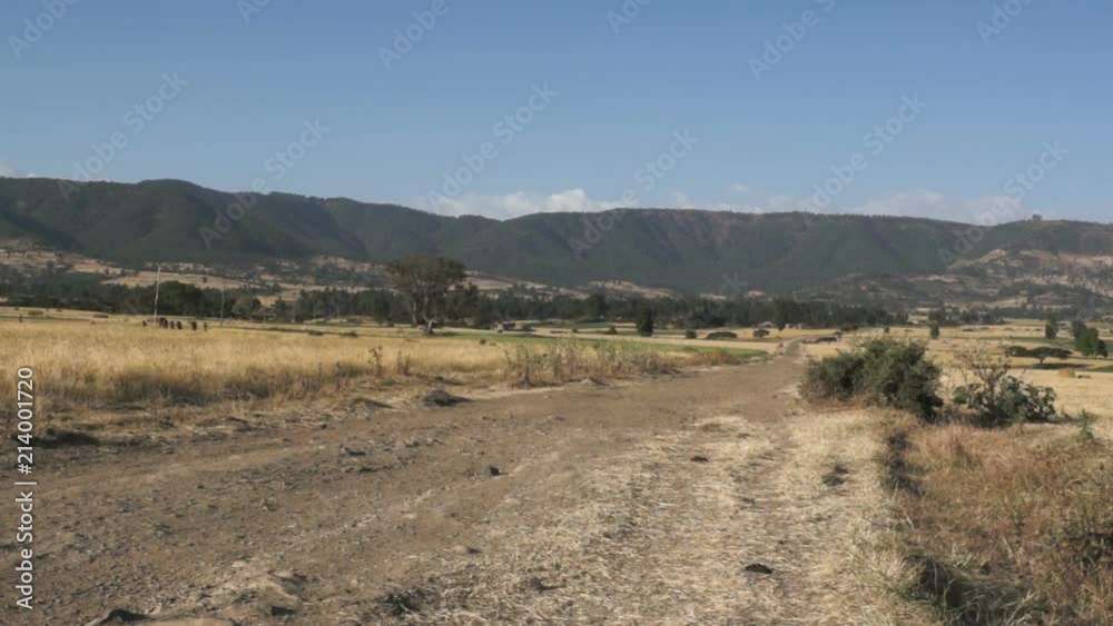 African landscape with fields next to mountain chain in the background
African landscape with fields next to mountain chain in the background