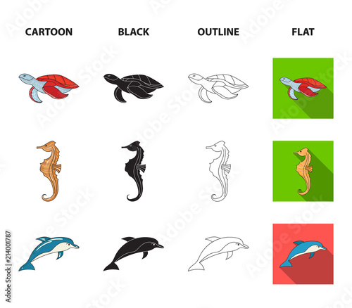 Merlin, turtle and other species.Sea animals set collection icons in cartoon,black,outline,flat style vector symbol stock illustration web.
