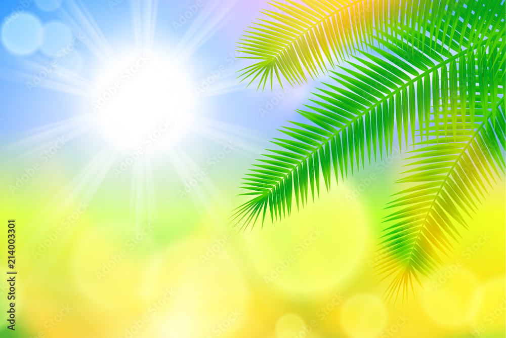 Fototapeta premium Sunny summer background with bright sun and palm leaves. EPS10 vector.