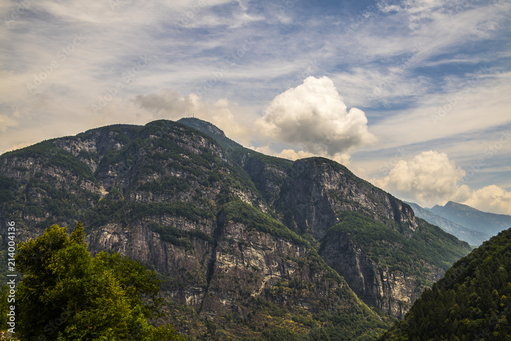A picturesque landscape of mountain forests and alpine fields on a sunny summer day A picturesque landscape of mountain forests and alpine fields on a sunny summer day