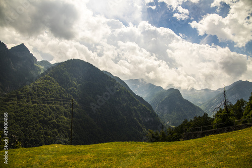 A picturesque landscape of mountain forests and alpine fields on a sunny summer day