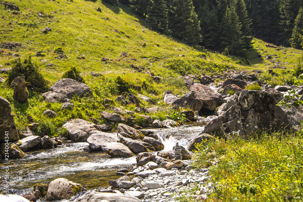 Mountain river in the forest of the Alps, against the background of coniferous forest and mountains in a sunny sunny day Mountain river in the forest of the Alps, against the background of coniferous forest and mountains in a sunny sunny day