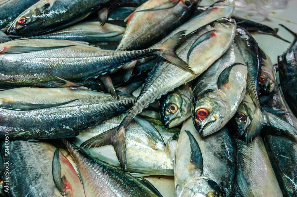 Obraz premium Pile of fresh fish on market stall in Southern Thailand