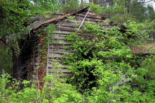 Old hunting cabin
