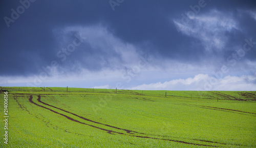 Green Pasture and stormy sky