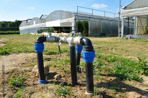 Agricultural irrigation system with a well of water, for the greenhouse tomato growing.