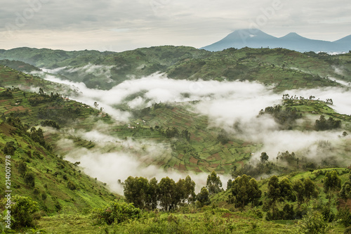 Typical hilly landscape full of fields partially covered in fog near the Bwindi Impenetrable National Park in Uganda photo