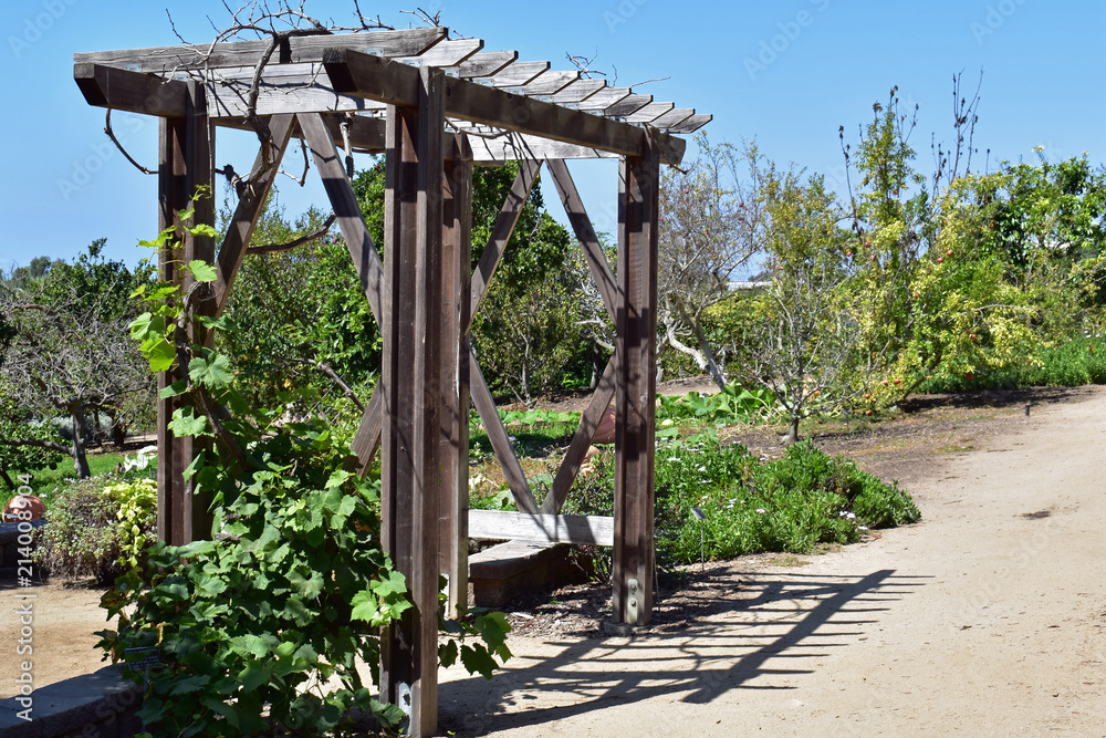 Garden Arbor Along Pathway