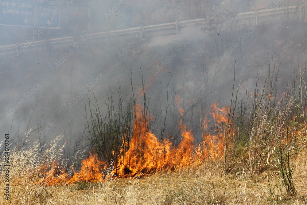 Fototapeta premium incendio