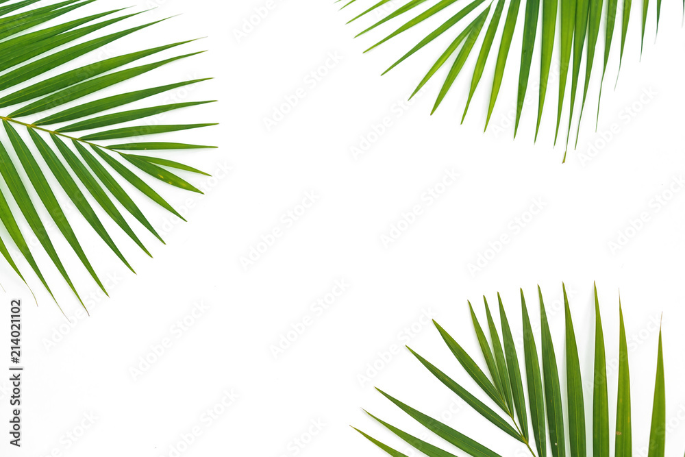 Obraz premium Copy space composition of tropical palm leaves on white background. Flat lay, top view.