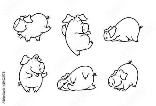 Cute pig set