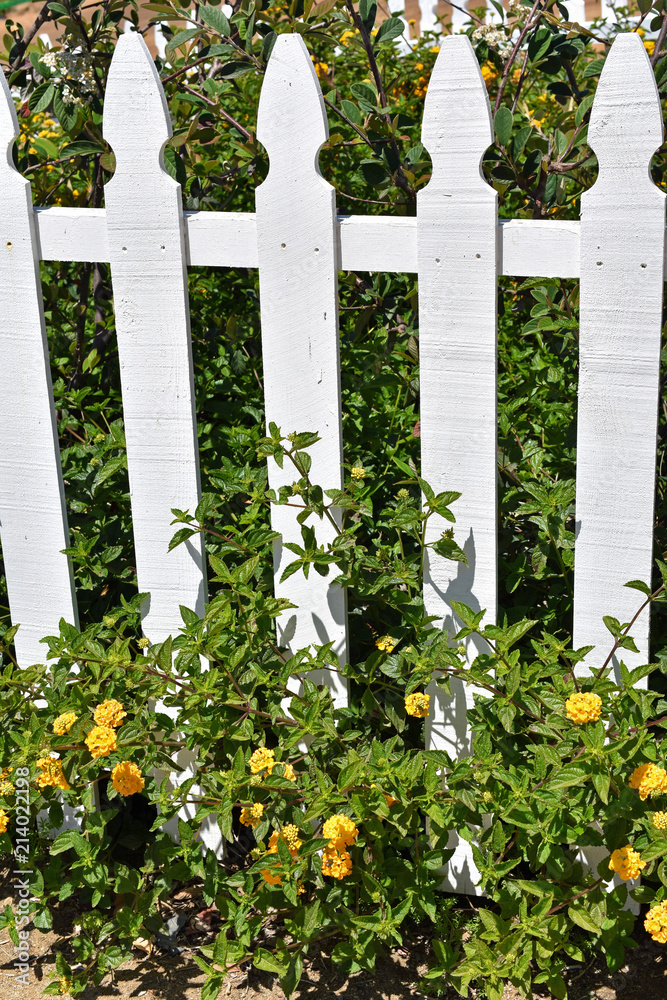 White Picket Fence with Wildflowers White Picket Fence with Wildflowers