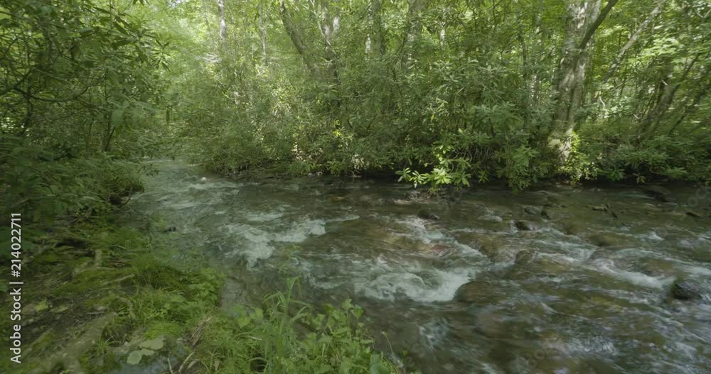 a mountain stream in north carolina a mountain stream in north carolina