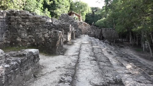 Mexican Mayan Temple of Coba photo