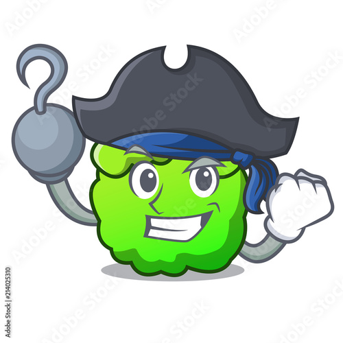 Pirate shrub character cartoon style