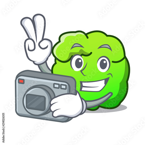 Photographer shrub mascot cartoon style