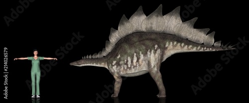 恐竜縮尺図・ステゴサウルス © Galileo-Giken