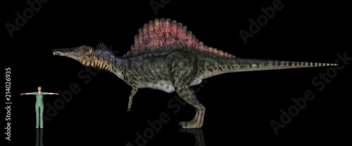 恐竜縮尺図・スピノサウルス