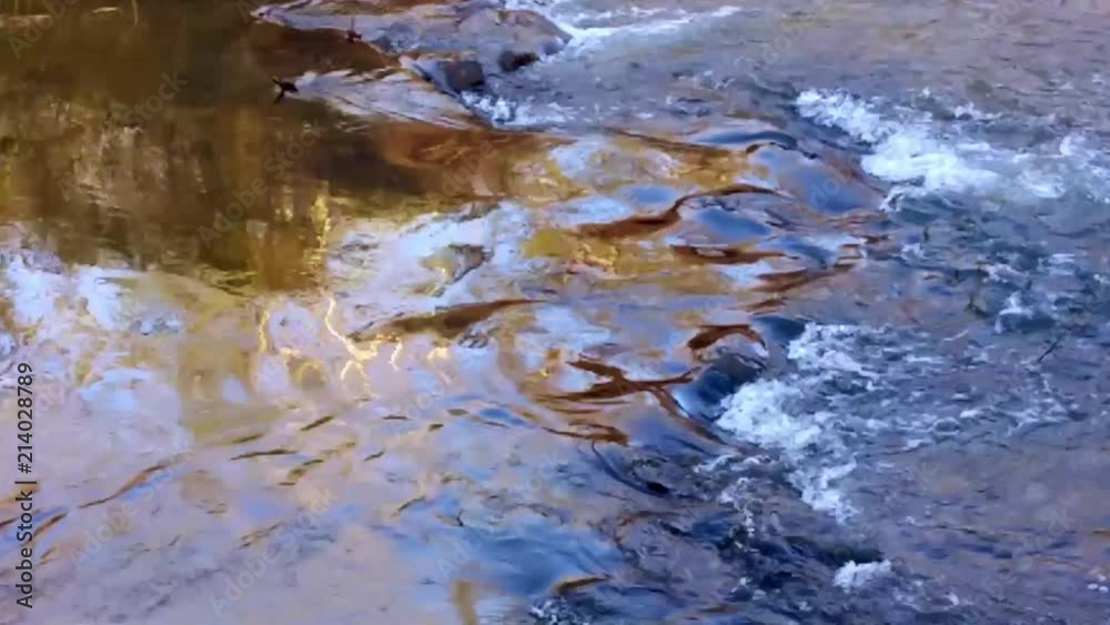 A clip of river rapids with a gold reflection of the sun combined with other objects near the shore and blue from the sky. The water looks cool and pure. A clip of river rapids with a gold reflection of the sun combined with other objects near the shore and blue from the sky. The water looks cool and pure.