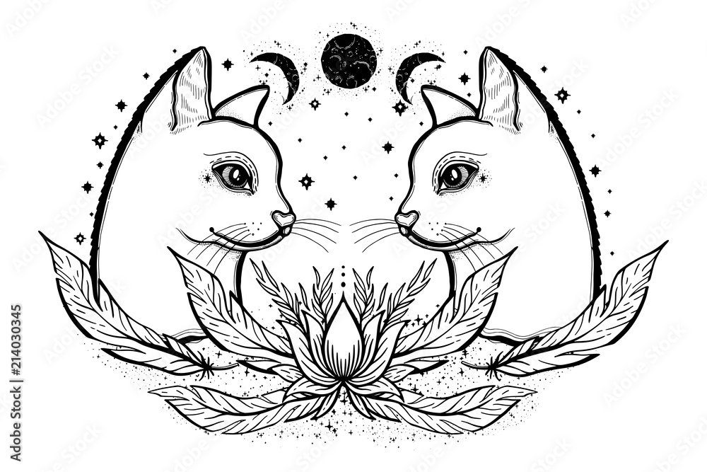Sketch graphic illustration cat with mystic and occult hand drawn ...