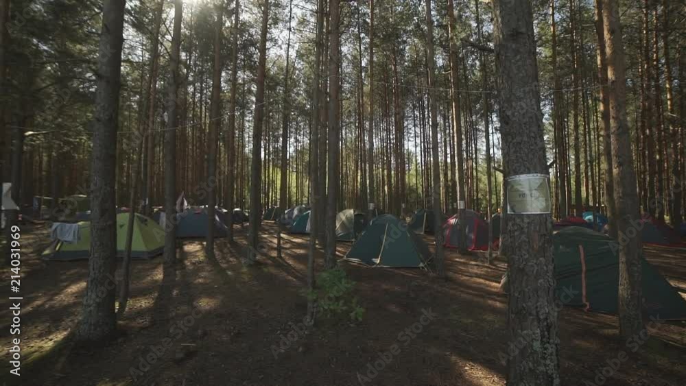 Camping and tents at the forest in sunrise Camping and tents at the forest in sunrise