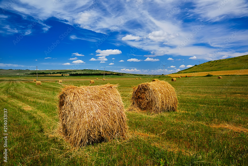 wheat field, straw, summer, sky