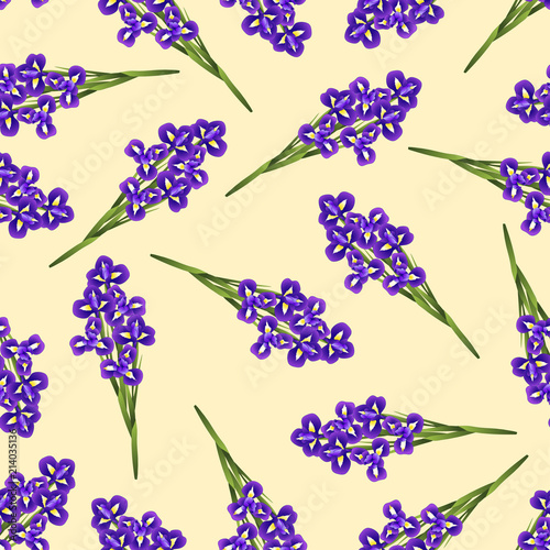 Fototapeta Naklejka Na Ścianę i Meble -  Iris Flower on Beige Ivory Background