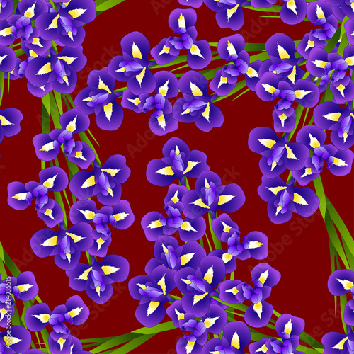 Fototapeta Naklejka Na Ścianę i Meble -  Iris Flower on Red Background