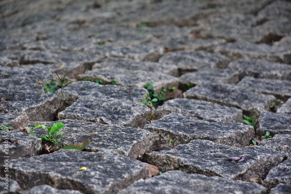 Black cobbled stone road background. Black or dark grey stone pavement texture. Black cobbled stone road background. Black or dark grey stone pavement texture.