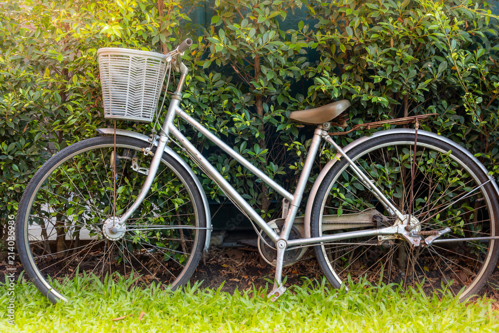 Vintage bicycle parked in a green grassy and tree in garden on shining sunshine.
