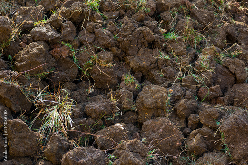 Farm Soil
