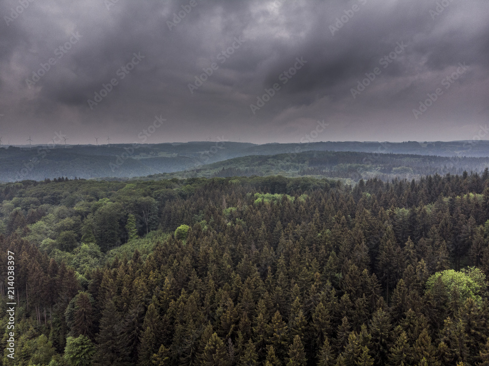 Regenwolken über dem Wald - Luftaufnahme