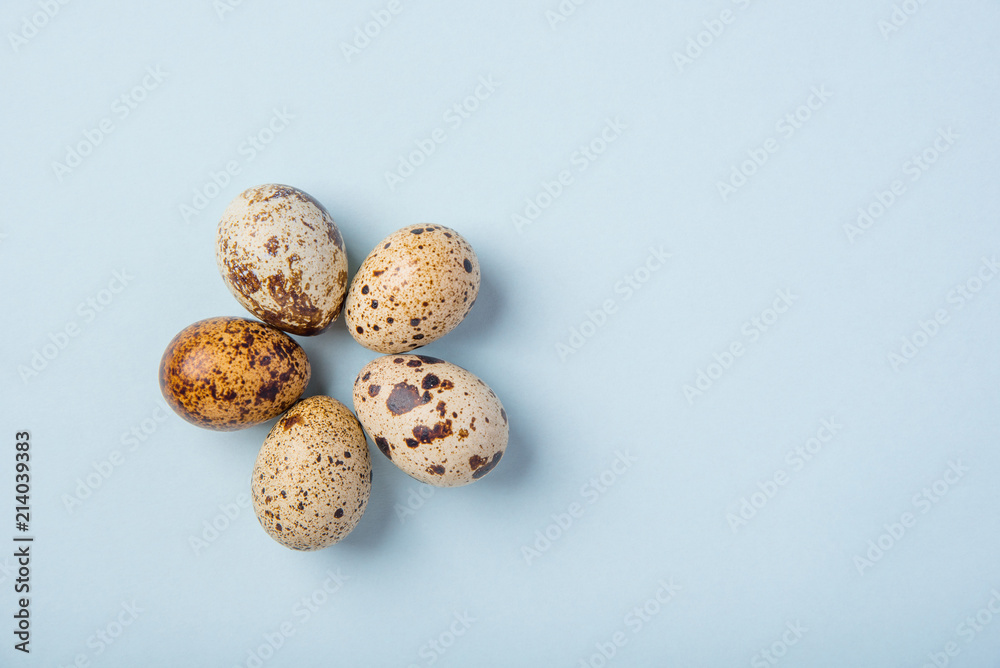 Beautiful spotted fresh quail eggs on a blue paper background Beautiful spotted fresh quail eggs on a blue paper background
