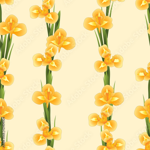 Fototapeta Naklejka Na Ścianę i Meble -  Orange Iris Flower on Beige Ivory Background