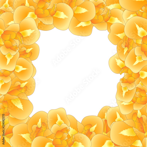 Fototapeta Naklejka Na Ścianę i Meble -  Orange Iris Flower Border
