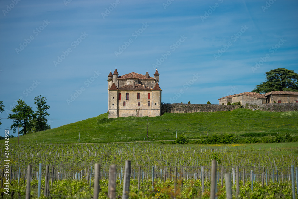 Fototapeta premium Vineyard and Chateau de Monbadon, Bordeaux Region, France