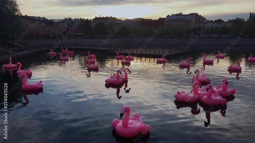 Inflatable pink flamingos in the pool