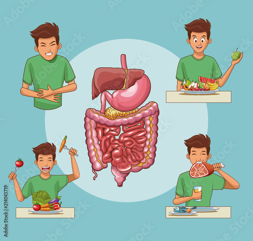 Digestive system and young man cartoon vector illustration graphic design