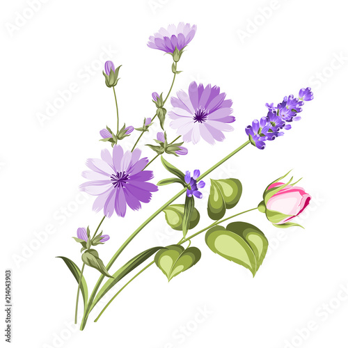 The chicory garland with rose and lavender botanical card. A summer decorative bouquet of endive and rose flowers. Small floral garland. Vector illustration.