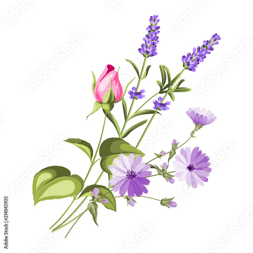Label with lavender. Bunch of lavender flowers on a white background. Botanical illustration in vintage style. Vector illustration.