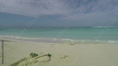 Wallpaper Mural Hermit the crab walking along the sandy beach in Maldives Torontodigital.ca