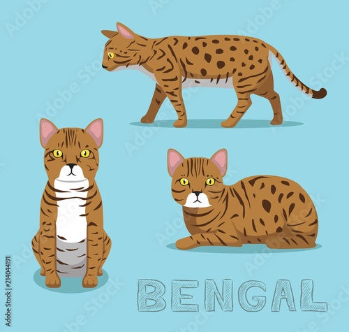 Cat Bengal Cartoon Vector Illustration