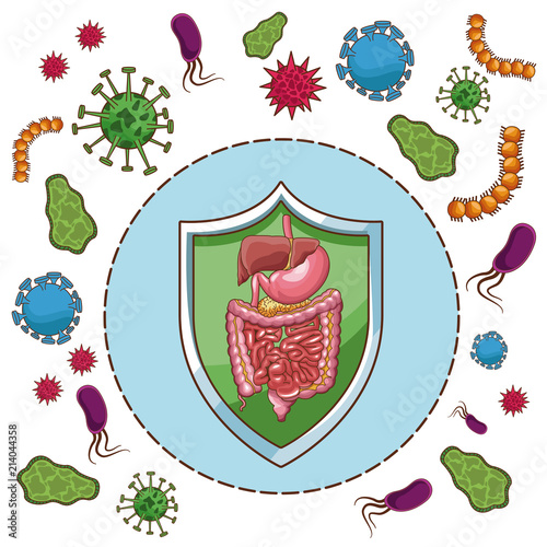 Stomach ache bacterias and virus cartoons vector illustration graphic design