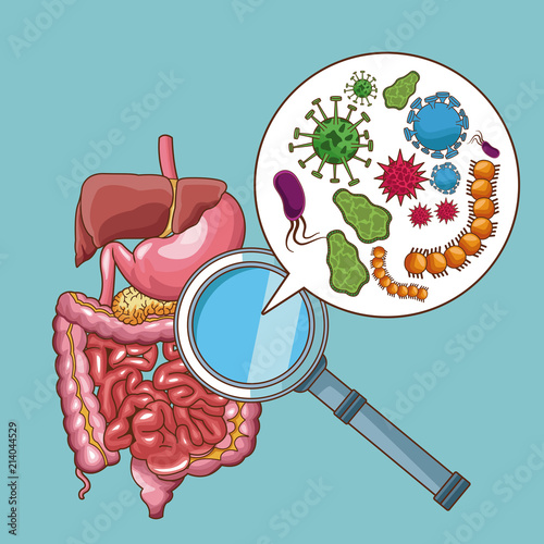 Stomach ache bacterias and virus cartoons vector illustration graphic design