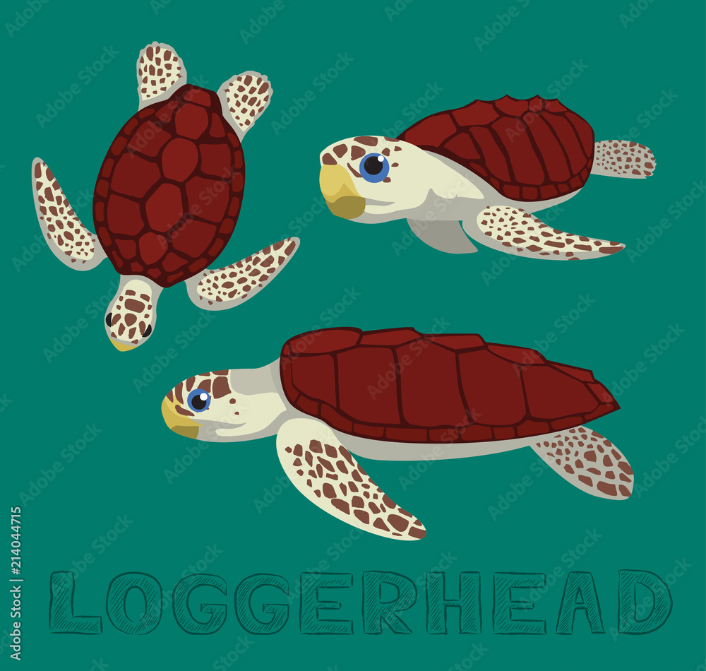 Naklejka premium Ilustracja wektorowa kreskówka karetta żółwia morskiego