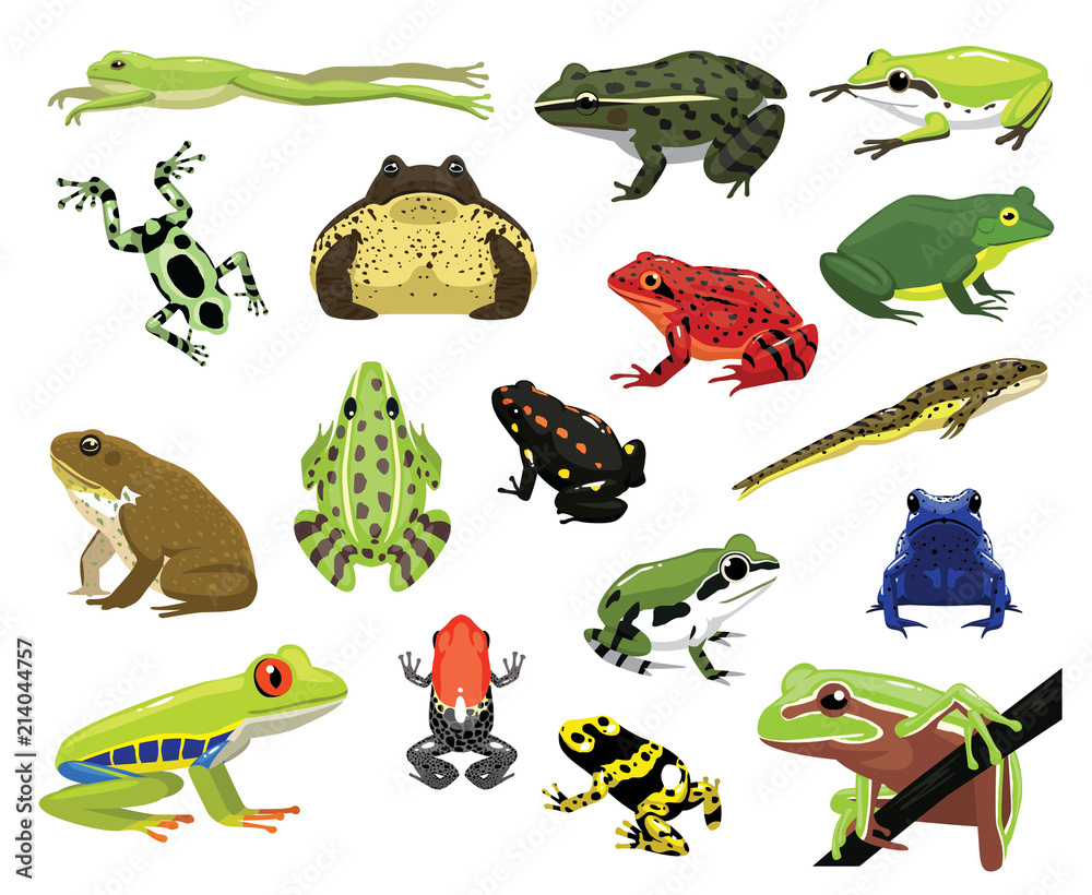 Naklejka premium Różne żaby kreskówka wektor ilustracja
