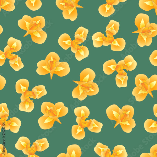 Fototapeta Naklejka Na Ścianę i Meble -  Orange Iris Flower on Green Teal Background.